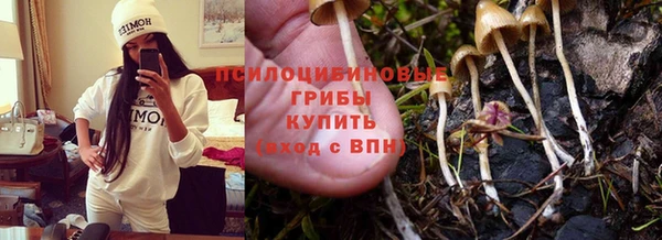 винт Осташков